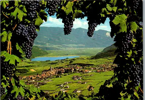 22222 - Italien - Caldaro , Kaltern , presso Bolzano , gegen den Kalterer See - gelaufen