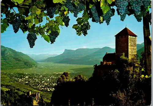22226 - Italien - Schloss Tirol gegen Meran und Etschtal , Castel Tirolo verso Merano e Val d' Adige - nicht gelaufen