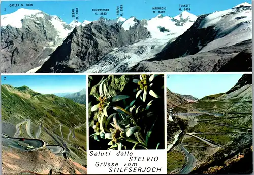 22258 - Italien - Gruppe dell' Ortles , Strada dello Stelvio , Versante Atesino , Braulio , Spondalunga , Etsch - nicht gelaufen