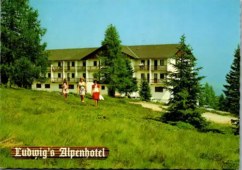22751 - Kärnten - Hochrindl , Ludwig's Alpenhotel - gelaufen 1979