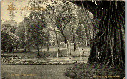 22878 - Indonesien - Java , Buitenzorg , Bogor , Jawa Barat , 's Lands Plantentuin , Netherland Indies , Botanischer Garten - nicht gelaufen