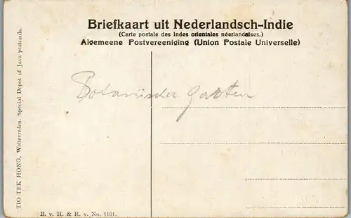 22878 - Indonesien - Java , Buitenzorg , Bogor , Jawa Barat , 's Lands Plantentuin , Netherland Indies , Botanischer Garten - nicht gelaufen