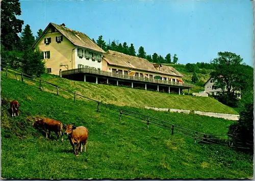22921 - Steiermark - St. Kathrein am Offenegg , Gasthof Eibisberg - gelaufen 1974
