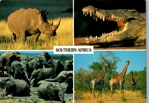 23015 - Tiere - Südafrika , White Rhino , Nile Crocodile , Elephants taking a mud Bath , Giraffes - gelaufen