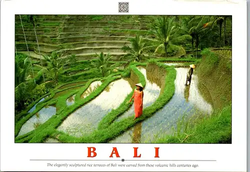 23294 - Bali - The elegantly sculptured rice terraces  - gelaufen