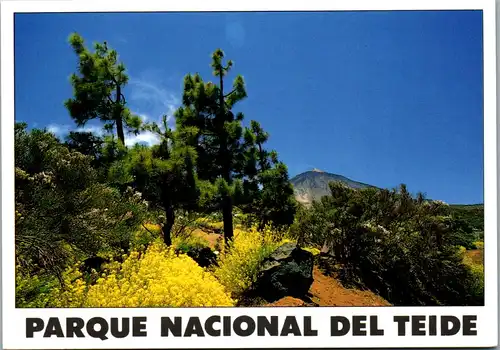 23368 - Spanien - Parque Nacional del Teide - nicht gelaufen