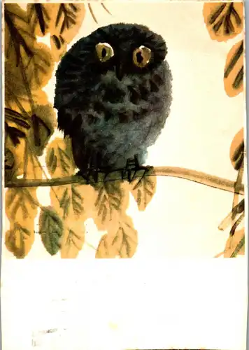 23383 - Künstlerkarte - Wu Tso jen , Eule , Owl - gelaufen 1969