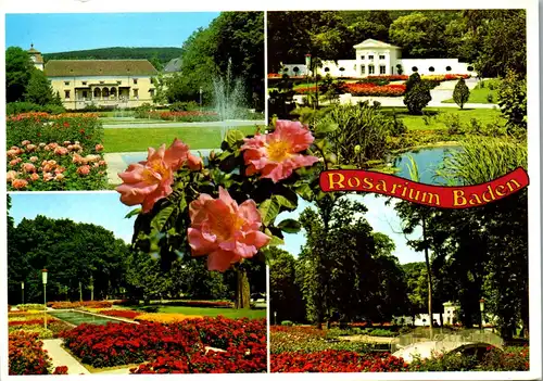 23618 - Niederösterreich - Baden bei Wien , Motive aus dem Rosarium - gelaufen