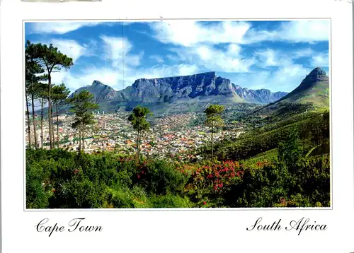 23735 - Südafrika - Cape Town , Kapstadt , Table Mountain viewed from Signal Hills , Devil's Park , Lion's Head - gelaufen 1999