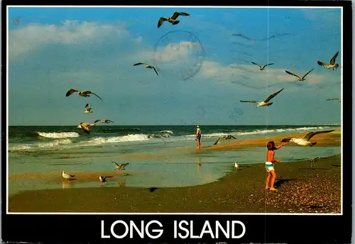 23825 - USA - Long Island Gulls from Fire Island to the Hamptons , Montauk Point , North Shore - gelaufen 1993