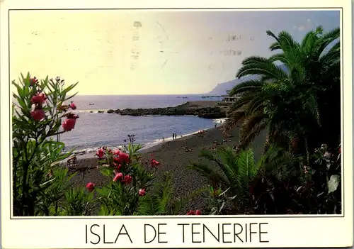 24009 - Spanien - Tenerife , Playa de la Arena , Los Gigantes - gelaufen