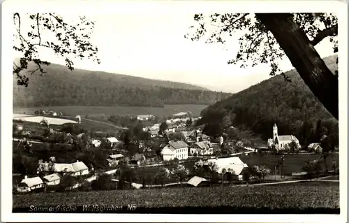 24308 - Niederösterreich - Wolfsgraben , Panorama - gelaufen 1961