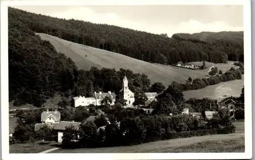 24316 - Niederösterreich - Wolfsgraben , Panorama - gelaufen