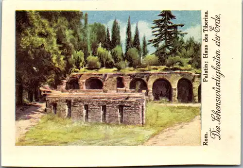 24355 - Sammelbilder - Olleschau , Serie Italien , Rom , Palatin , Haus des Tiberius