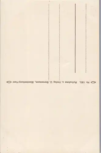 24618 - Deutschland - Schierke , Blick auf den Wurmberg - nicht gelaufen