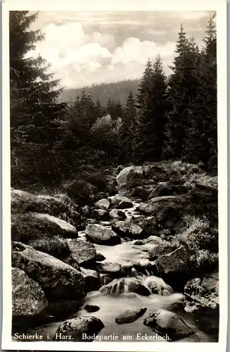 24619 - Deutschland - Schierke im Harz , Bodepartie am Eckerloch - nicht gelaufen