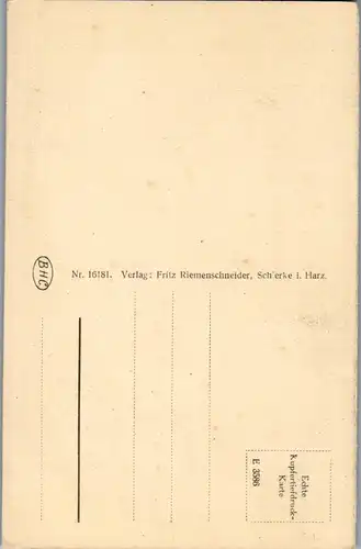 24625 - Deutschland - Schierke im Harz , Schnarcherklippen - nicht gelaufen