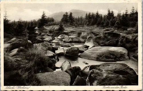 24627 - Deutschland - Schierke , Oberharz , Partie an der Bode - nicht gelaufen