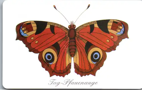 24796 - Deutschland - Tag Pfauenauge , Schmetterling