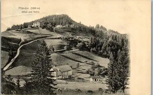 33034 - Vorarlberg - Pfänder , Hotel und Dohle - gelaufen 1907