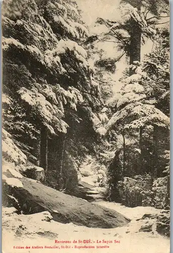 33131 - Frankreich - St. Die , Le Sapin Sec - gelaufen