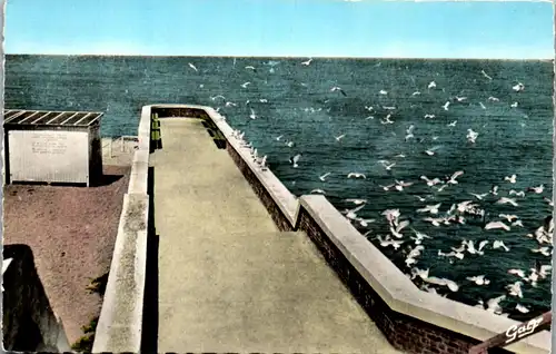 33265 - Frankreich - Yport , Seine Maritime , Vol de Mouettes sur la Jefee - gelaufen 1969