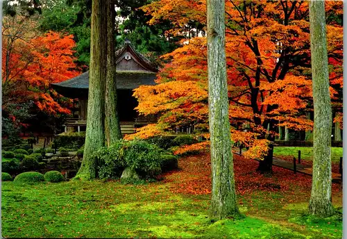33465 - Japan - Kyoto , Sanzen-in Temple - gelaufen 1984