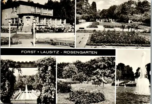 33482 - Deutschland - Forst , Lausitz , Rosengarten , Mehrbildkarte - gelaufen