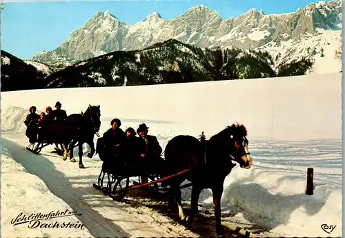 33483 - Steiermark - Dachstein , Schlittenfahrt , Pferdeschlitten - gelaufen