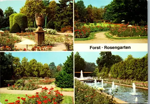 33496 - Deutschland - Forst , Rosengarten , Mehrbildkarte - gelaufen