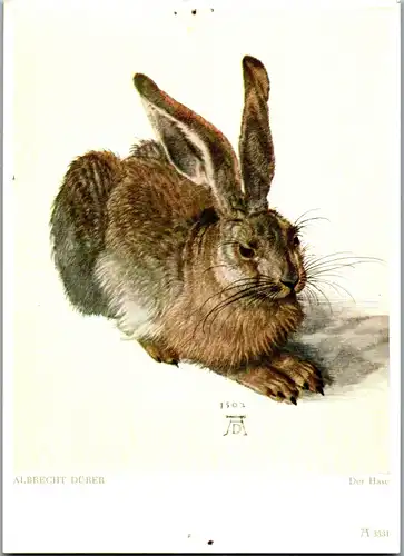 33549 - Künstlerkarte - Der Hase , signiert Albrecht Dürer - gelaufen