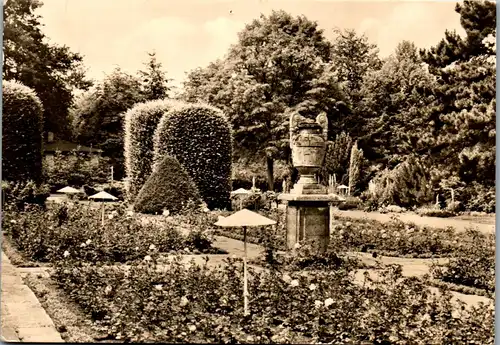 33682 - Deutschland - Forst , Lausitz , Rosengarten - gelaufen 1980