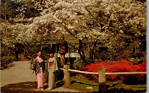 33747 - USA - California , San Francisco , Japanese Tea Garden - gelaufen 1966