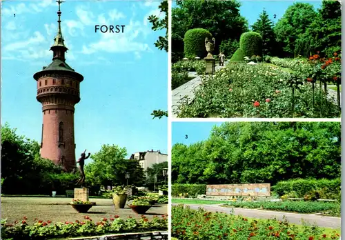 33764 - Deutschland - Forst , Wasserturm , Rosengarten , Mehrbildkarte - gelaufen 1973