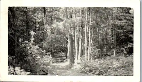 33822 - USA - Pennsylvania , Westminster Highlands , Emlenton , Presbyterian Camping - gelaufen