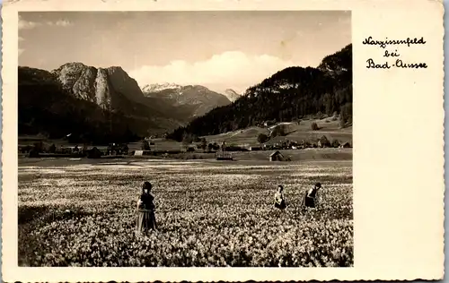 33838 - Steiermark - Bad Aussee , Narzissenfeld  - gelaufen