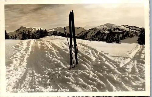 33887 - Vorarlberg - Hoher Freschen , Nordspitze vom Alpweg - gelaufen 1958