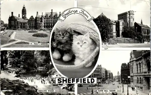 33918 - Großbritannien - Sheffiled , St. Paul's Gardens , University , Endcliffe Woods , Town Hall Square , Mehrbildkarte - gelaufen 1961