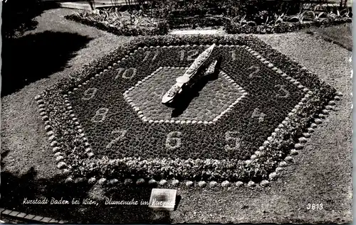 33919 - Niederösterreich - Baden bei Wien , Blumenuhr im Kurpark - gelaufen