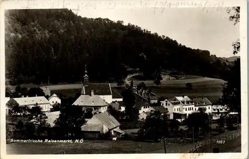 33948 - Niederösterreich - Raisenmarkt , Panorama - gelaufen