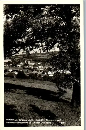 33959 - Niederösterreich - Hofstetten , Grünau , Pielachtal , Panorama - nicht gelaufen