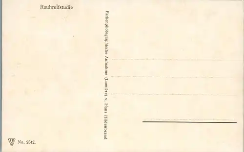 34000 - Künstlerkarte - Rauhreifstudie , Winterlandschaft - nicht gelaufen