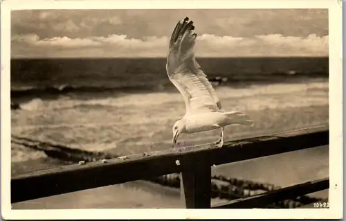 34389 -  - Möwe - gelaufen 1952