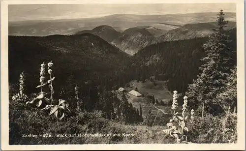 34409 - Deutschland - Zastlerbach , Oberried , Zastler Hütte , Blick auf Hinterwaldkopf und Kandel - nicht gelaufen