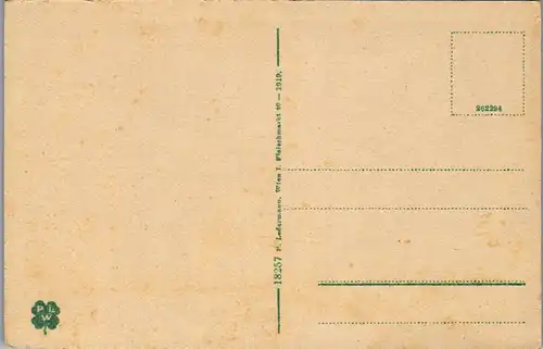 34411 - Oberösterreich - Enns , Panorama - nicht gelaufen 1919