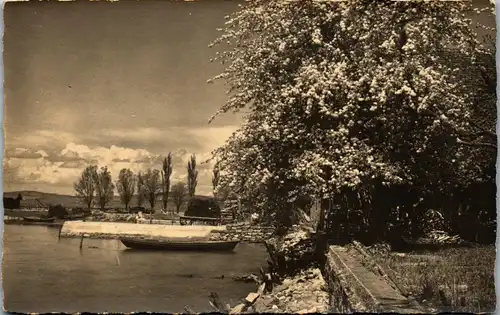 34424 - Künstlerkarte - unbek. - nicht gelaufen