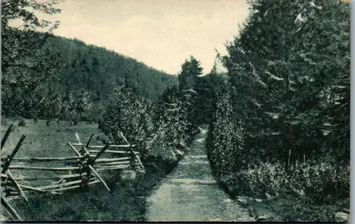 34446 - USA - Pennsylvania , Shingletown Gap near State College - nicht gelaufen