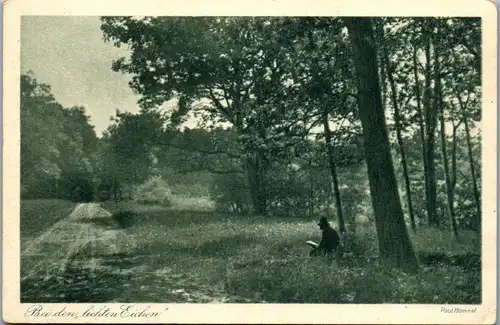 34463 - Künstlerkarte - Bei den lichten Eichen , Paul Hommel - nicht gelaufen