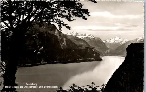 34511 - Schweiz - Seelisberg , Blick gegen die Axenstrasse und Birkenstock - gelaufen 1954
