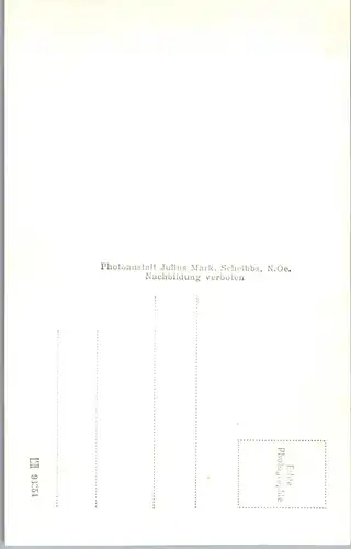 34585 - Niederösterreich - Narzissenflora am Lunzersee - nicht gelaufen